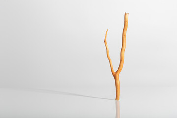 twig,glass and shade against a harsh light white background and shade against a harsh light white background