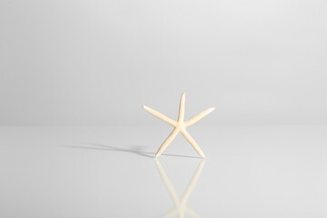 crumpled piece of paper and starfish on hard light white background