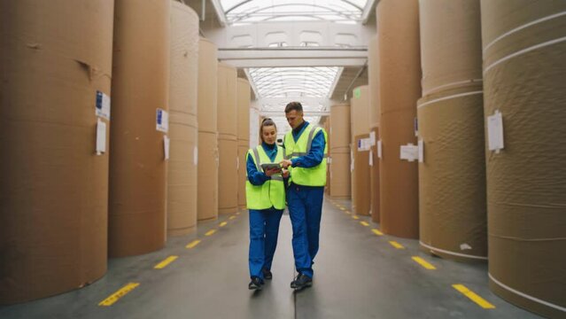 Cardboard industry. Workers walk through the warehouse among rolls of paper