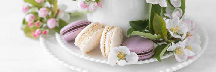 Beautiful composition with delicious French macarons and spring flowers in a white cup. Sweet dessert, early spring white and pink flowers, wedding decor, bride morning. Banner