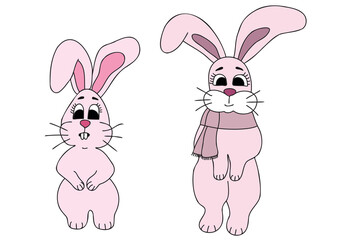 The picture shows two different pink bunnies, it is intended for New Year, Christmas holidays, cards, clothes printing, children's book printing and you can use it in different occasions.