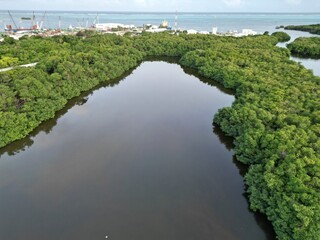 Aerial view of a mangrove lagoon in the Old Point regional park of San Andres Island, Colombia
