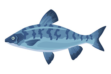 Fish sorts or types. Freshwater fish. Hand-drawn color illustration of inland fish. Commercial fish specie