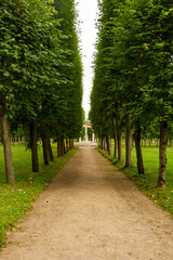 Walkway lane path with green trees lead to white gaazebo in the park