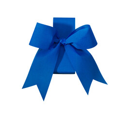 Beautiful gift bow blue, exempted.