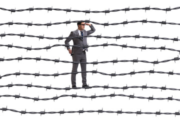 Businessman in barbed wire concept