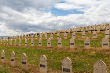World War Cemetery in France, with white tombstones honoring those killed in the World War