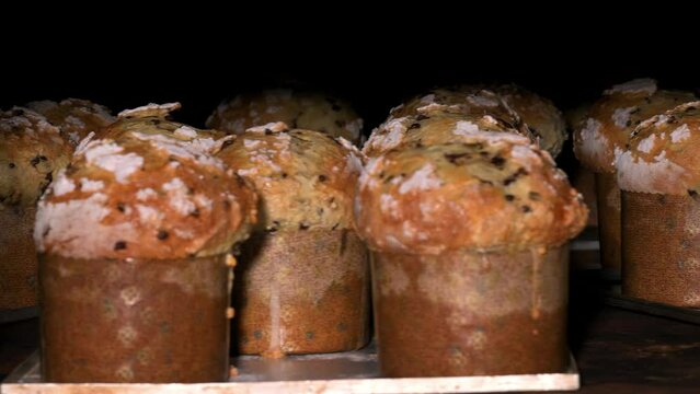 Group of panettone cakes baking in the oven at the bakery. High quality 4k footage