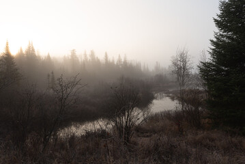 Misty morning at the river