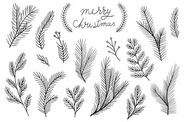 Merry Christmas set collection plants leaves hand made draw vector	