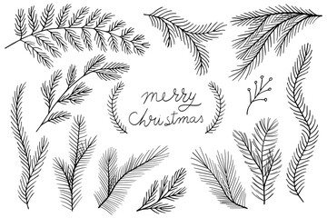 Merry Christmas set collection plants leaves hand made draw vector	