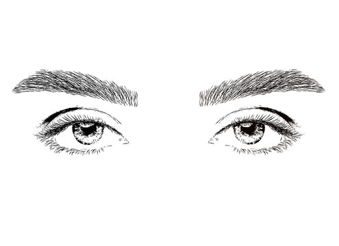 Woman eyes illustration. Beautiful woman with long eyelashes and thick eyebrows. Professional make-up and cosmetic skin care.