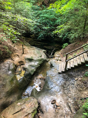 stream in the forest