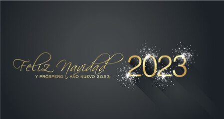 Fototapeta na wymiar Merry Christmas beautiful calligraphy Happy New Year 2022 Spanish language new shape shining firework gold white black greeting card