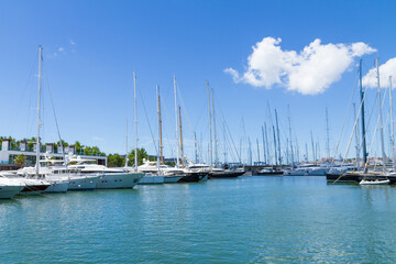 Palma de Mallorca Carrer Del Moll marina skyline with yachts