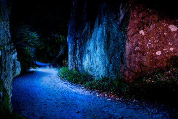 Fototapeta Skała nocą w świetle księżyca praz  droga prowadząca w nieznane. Bajkowy las obraz