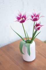 Delicate pink tulips in a vase, spring still life, minimalist, floral background