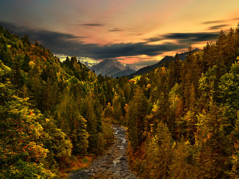 River running through an alpine forest at sunset, Adelboden, Bernese Oberland, Bern, Switzerland