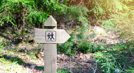 A wooden pole with an indicator of the direction of a walking route in a forest park area. Recreation and tourism