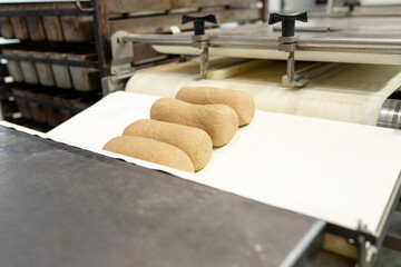 Molded dough products lie on metal plates in rack at bakery. One of stages of bread production in...