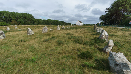 Miles long megalithic stones alignment on green meadow in Carnac, Brittany, France