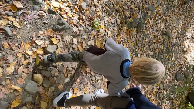 Vertical mobile phone video orientation. Following a blonde boy holding his mother's hand and walking in the fall autumn. Walking after a family, trekking in the wood in sunny day