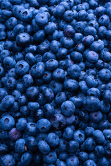 Fresh blueberry background. Texture blueberry berries close up.