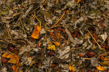 Dry tea leaves as a background.