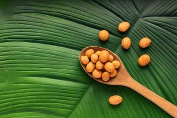 Organic Japanese peanuts in the spoon - Arachis hypogaea