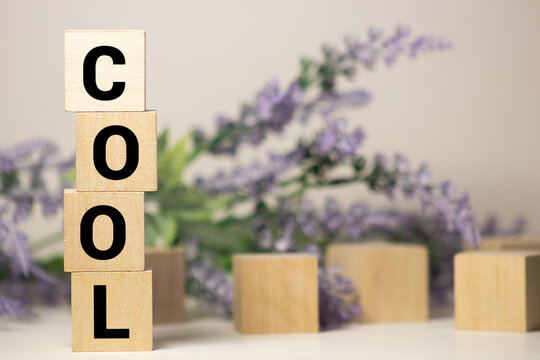 word cool made of jce block isolated on the white background.