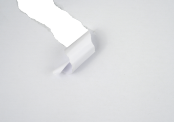 Torn paper with the curled ripped sides. Realistic torn paper with the ripped edges for copy space and text.