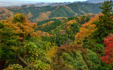 高尾山からの眺め　紅葉の季節
