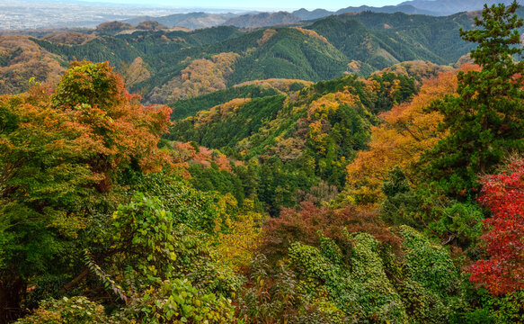 高尾山からの眺め　紅葉の季節

