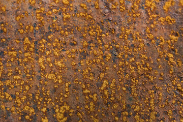 close-up of rust on a metal surface