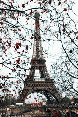Paris, Eiffel Tower through tree branches in cloudy weather.