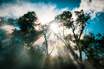 Sun rays shine through volcanic mist in Hawaii