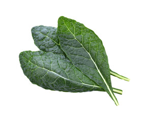 Single curly kale leaf isolated on  transparene png
