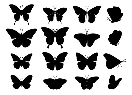 Butterflies silhouettes set. Collection of stickers for social networks and instant messengers. Aesthetics and elegance, beauty. Cartoon flat vector illustrations isolated on white background