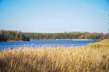 lake in autumn
