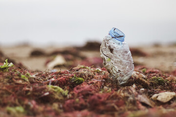 plastic pet bottle standing on the beach. Marine pollution concept