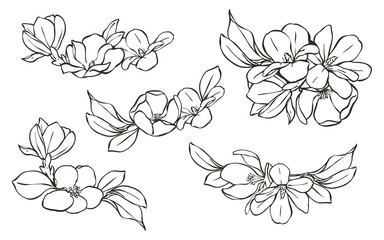 Line art flower and abstract wallpaper collection, group of flowers drawing, This collection is great for making invitation card, logos or printed on the shirt, canvas bag and many more.