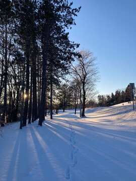 Winter trail with long shadows from the sun