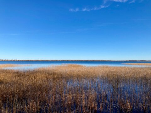 Lake landscape in Minnesota