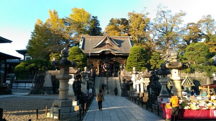 people walking in the park