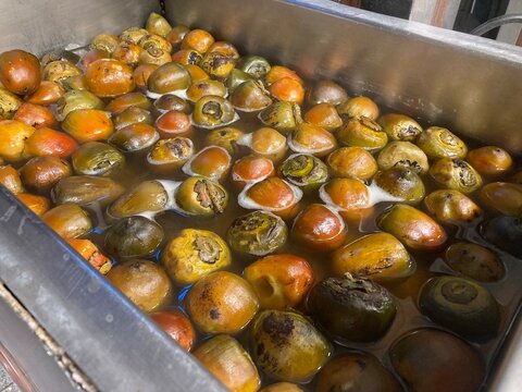 Pejibaye cocinado