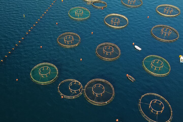 Aerial top drone view of fish farming in the clear waters of the sea. Round cages for growing a variety of fish in the Mediterranean sea