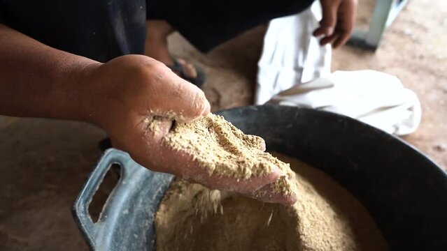 close-up videos. Adult male hand examines fodder made from rice husk.