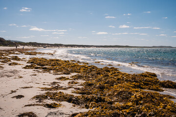 Sea wrack on the sand of the Dog Beach at Peaceful Bay west of Denmark. This spectacular coastline...