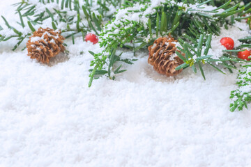 Christmas or winter background. Winter plants on the snow.  クリスマスまたは冬の背景。雪上の植物 
