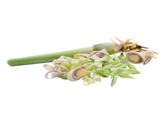 Fresh lemon grass on  transparene png